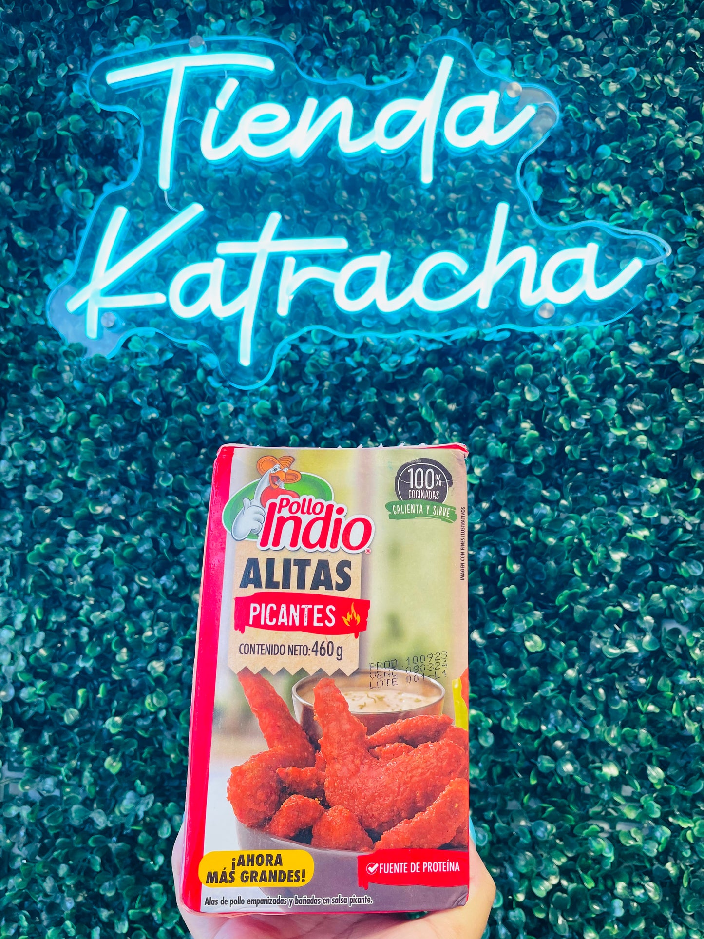 Alitas de pollo indio