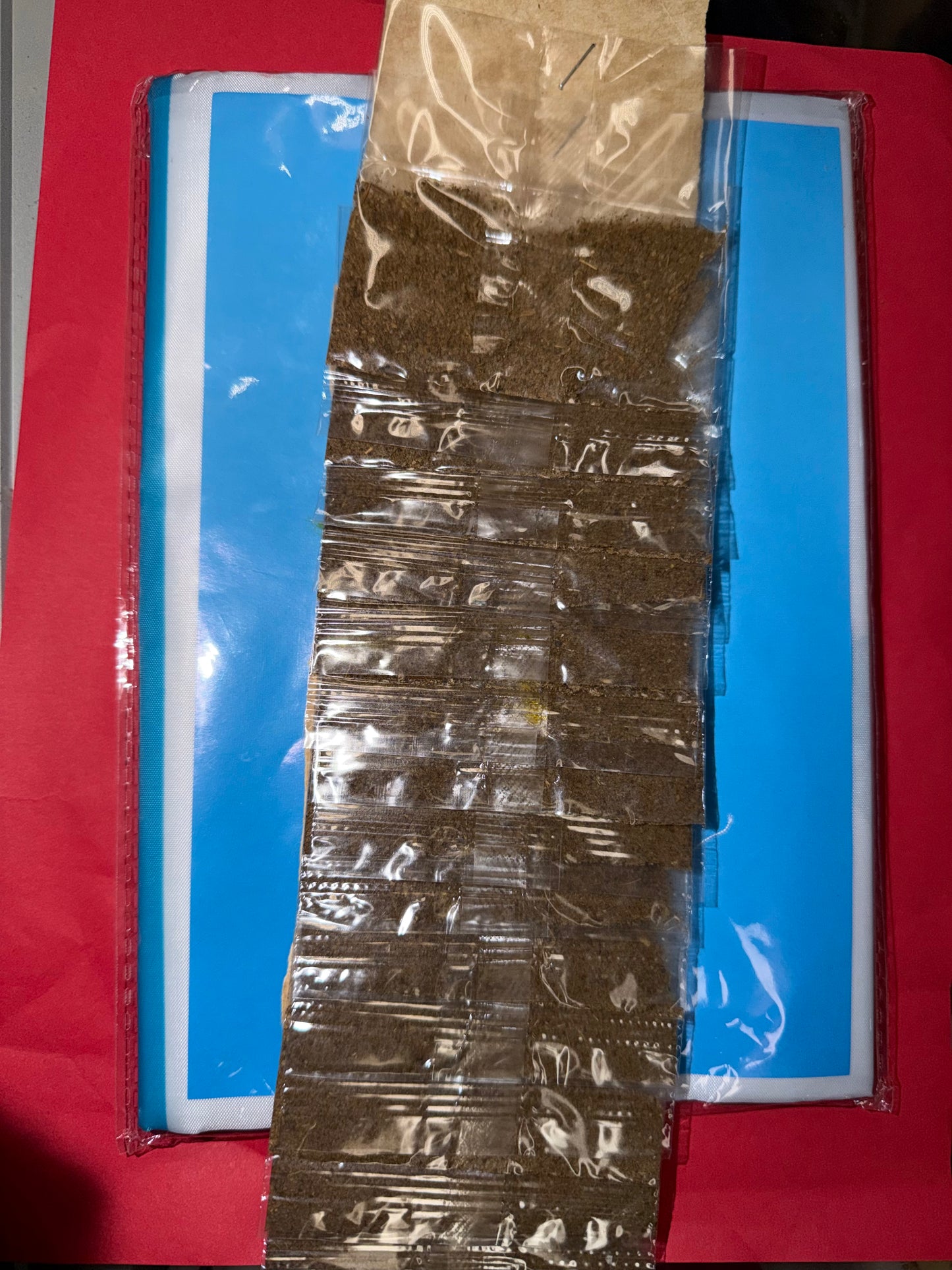 Especias hondureñas