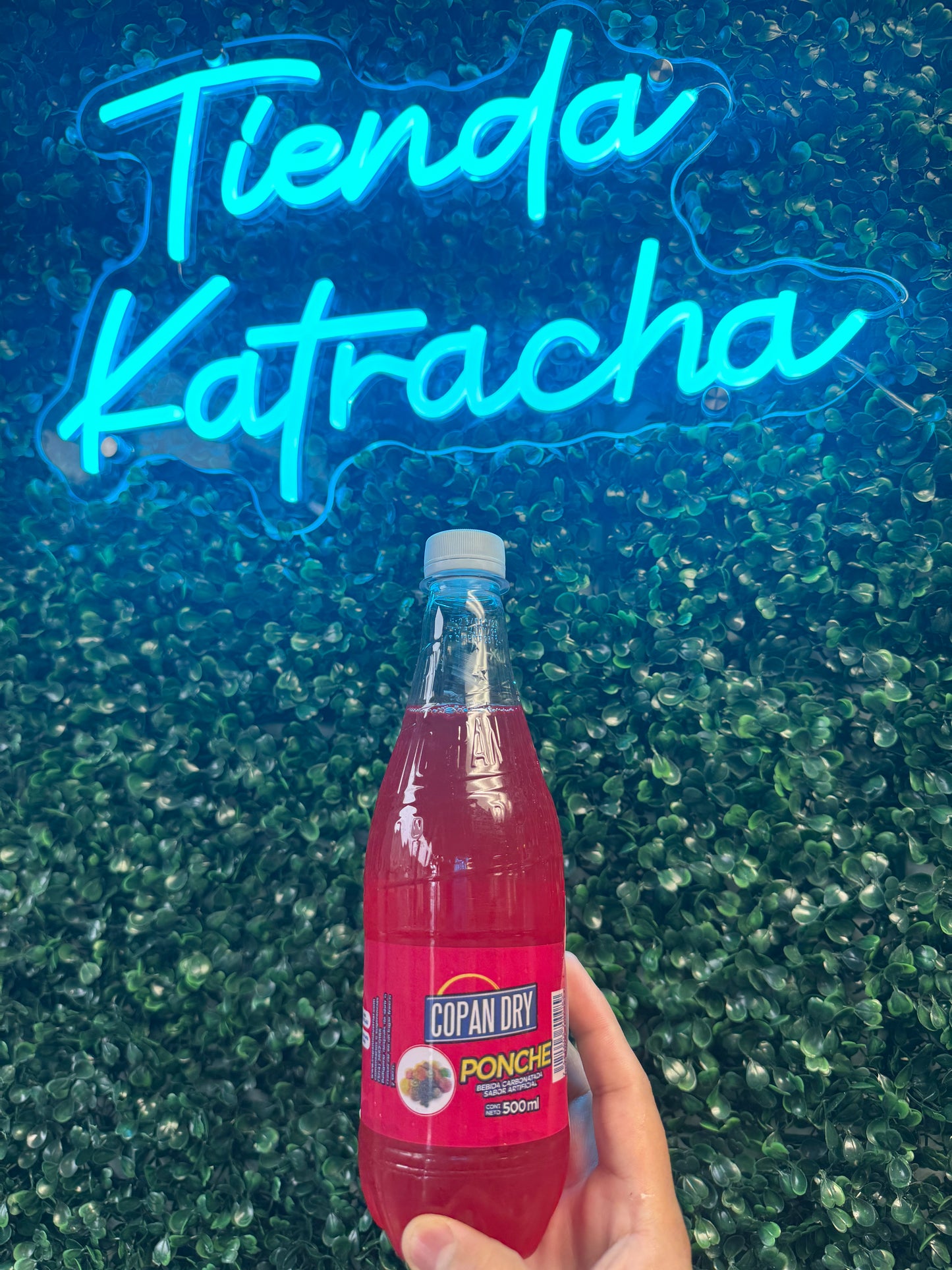 Copan dry ponche de fruta