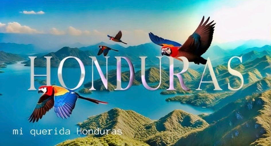 Bon o bon – Tienda Katracha