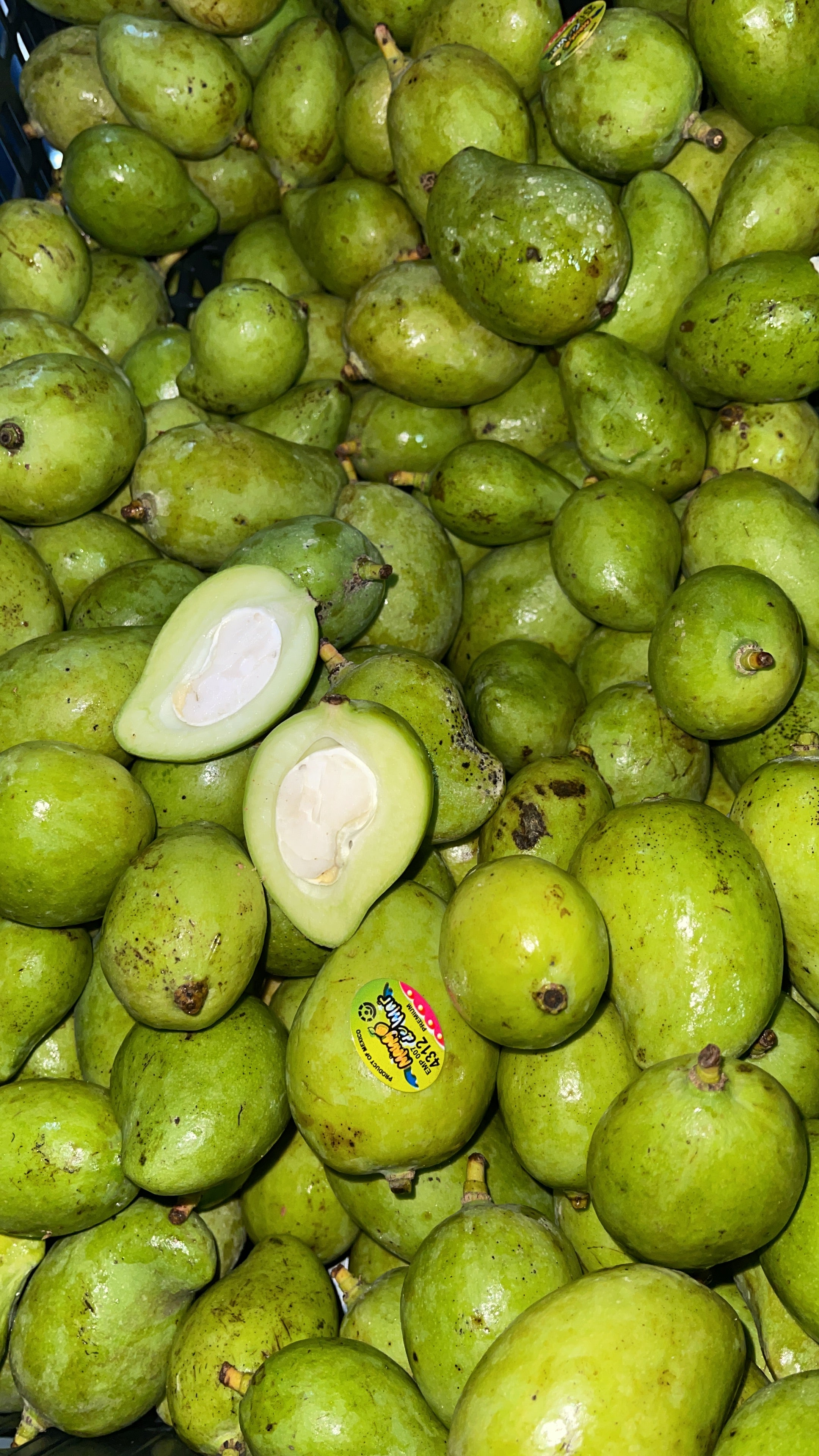 Mango verde Tienda Katracha